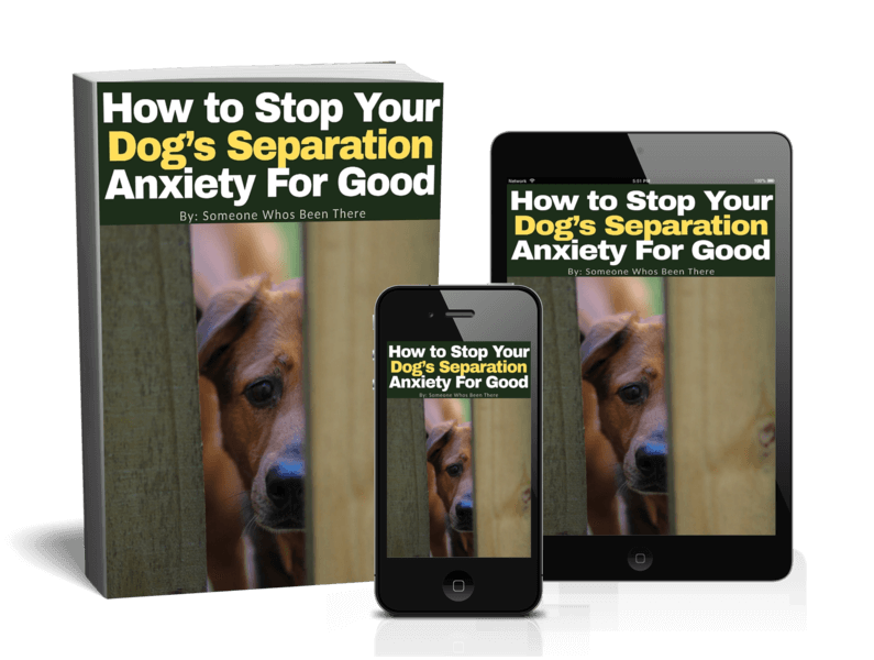 Book, smartphone, and tablet displaying 'How to Stop Your Dog's Separation Anxiety For Good' on a white background