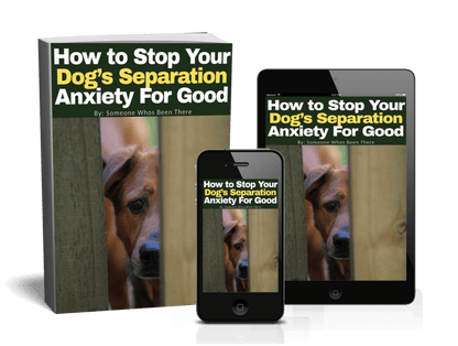 Book, smartphone, and tablet displaying 'How to Stop Your Dog's Separation Anxiety For Good' on a white background