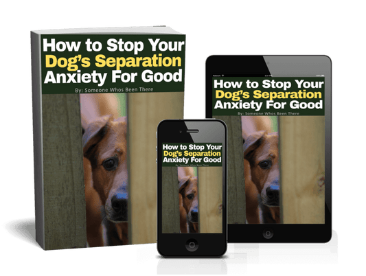 Book, smartphone, and tablet displaying 'How to Stop Your Dog's Separation Anxiety For Good' on a white background