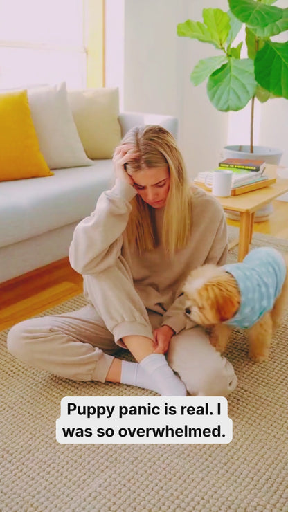 Stop New Puppy Panic! | A Proven Guide to Overcome New Puppy Anxiety